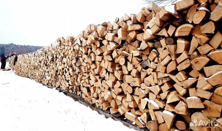 Дрова понимающих