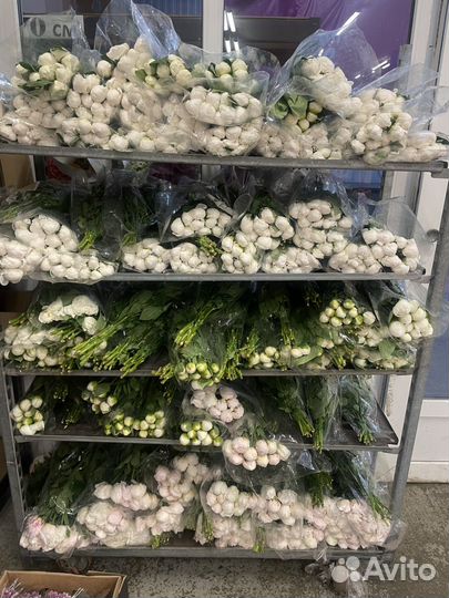 Свой человек в Питере, Курьер, Разовая Доставка