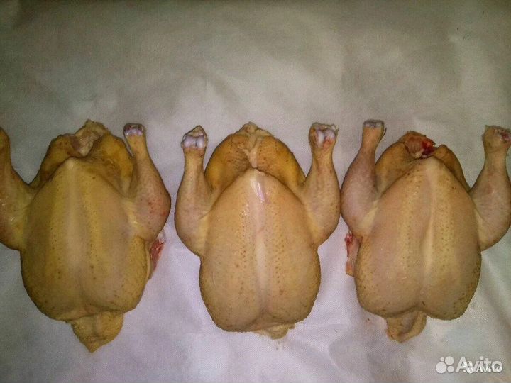 Мясо домашнего бройлера