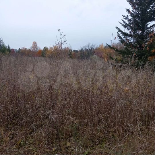 Участок 4 сот. (СНТ, ДНП)