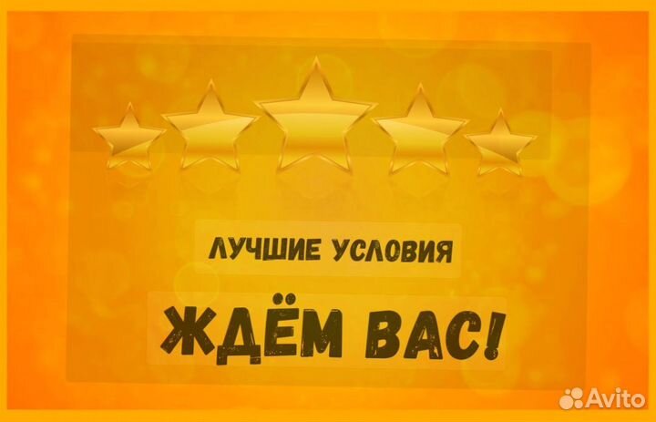 Автоэлектрик вахта Выплаты еженед. Жилье /Еда /Хор