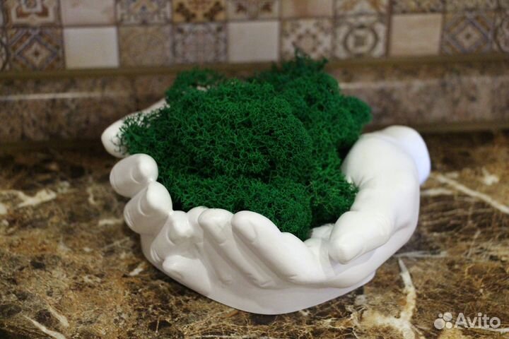 Органайзер/кашпо Руки Давида из гипса