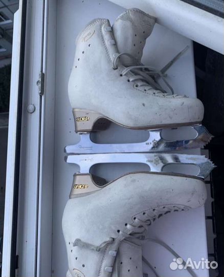 Фигурные коньки Edea Chorus белые