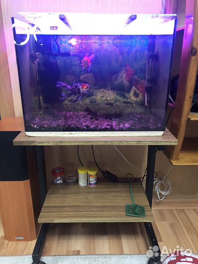 Аквариум с тумбой 50 литров