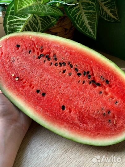 Арбуз Таиланд
