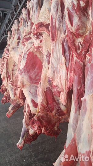 Говядина, мясо говядины, услуги распила