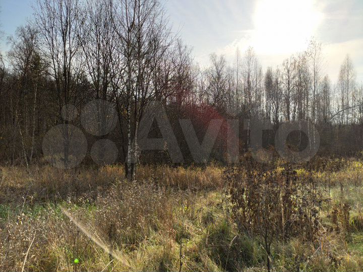 Участок 20 сот. (ИЖС)