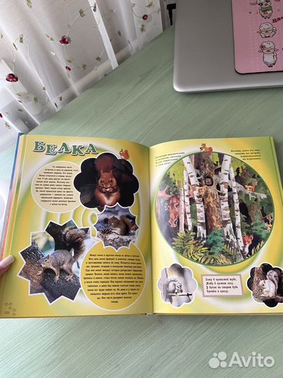 Большая книга животных