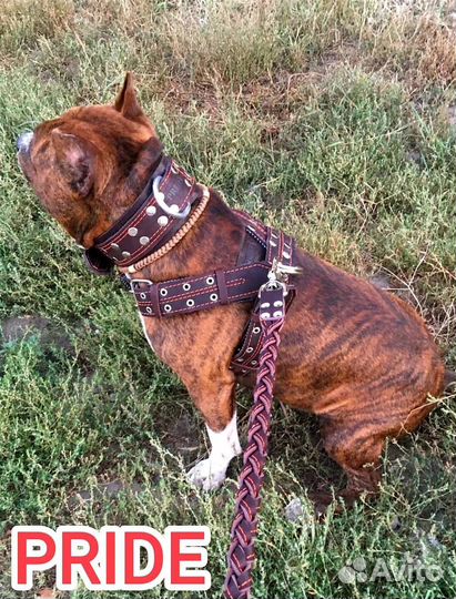 Ошейники, шлейки, поводки