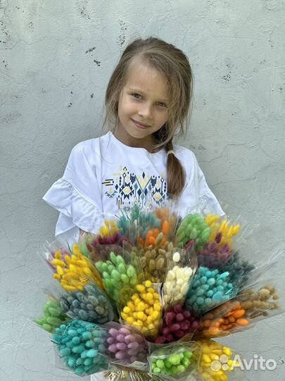 Лагурус сухоцвет Сухоцветы