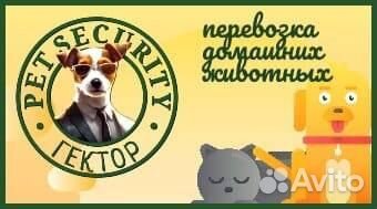 Зоотакси