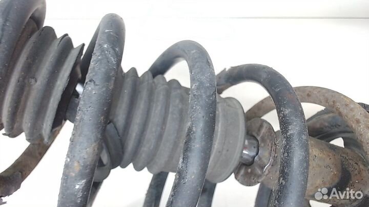 Амортизатор подвески Lexus RX, 2000