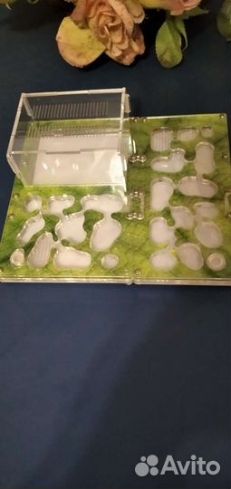 Формикарий-муравьиная ферма