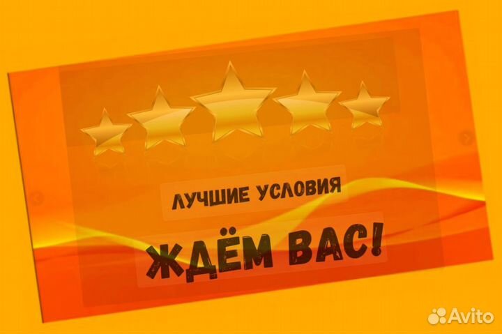 Упаковщик Еженед.выплаты /Питание Спецодежда /Хорошие условия Работа без опыта