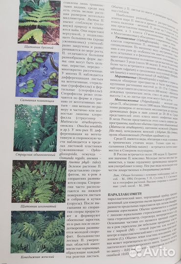 Энциклопедия лесного хозяйства в 2-х томах