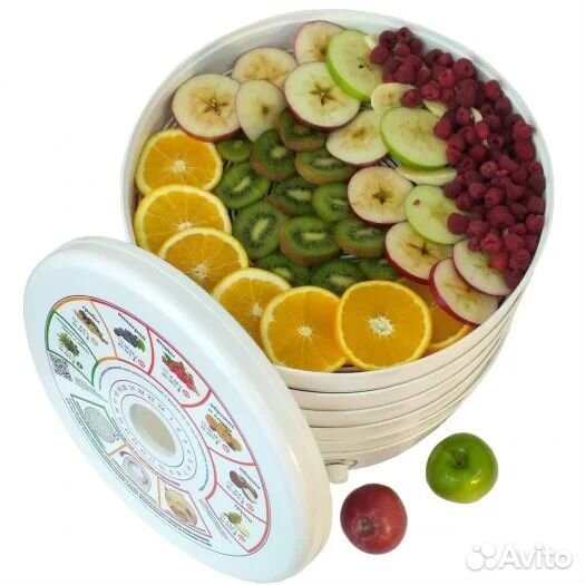 Сушилка для овощей и фруктов Renova DVN37-500/5