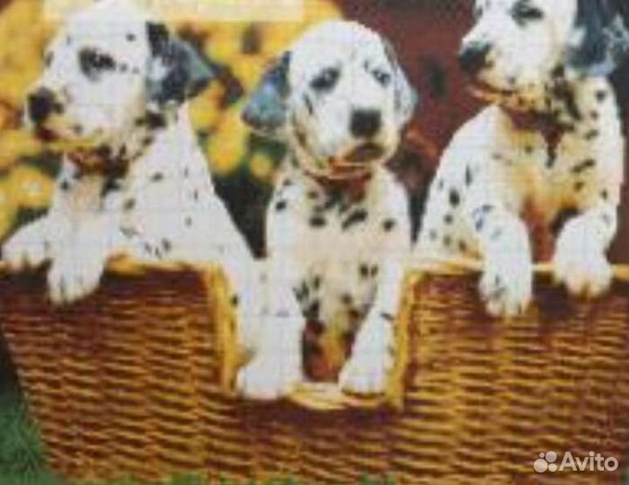 Схемы к вышивкам