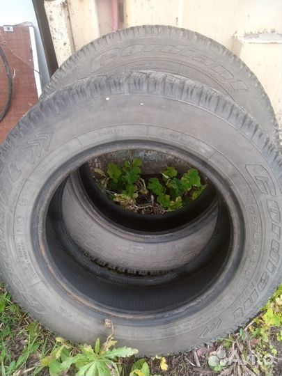 Cordiant Polar 175/70 R14