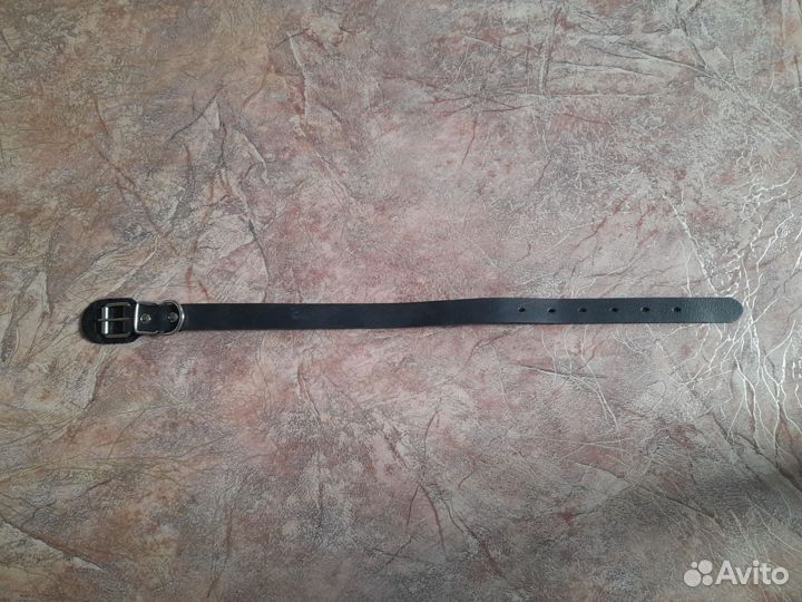 Ошейник для собак