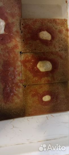 Корм для рыбок