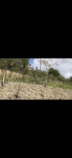 Участок 18 сот. (ИЖС)