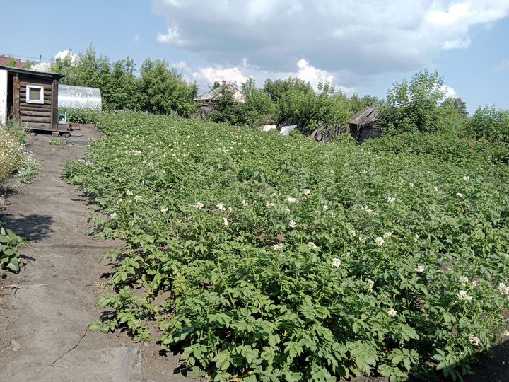 Участок 8,2 сот. (ИЖС)