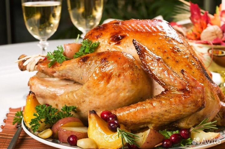 Петушки домашние