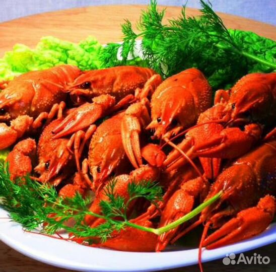 Раки живые и варёные