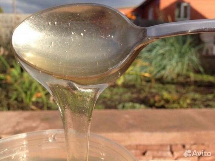 Свежий липовый мед оптом