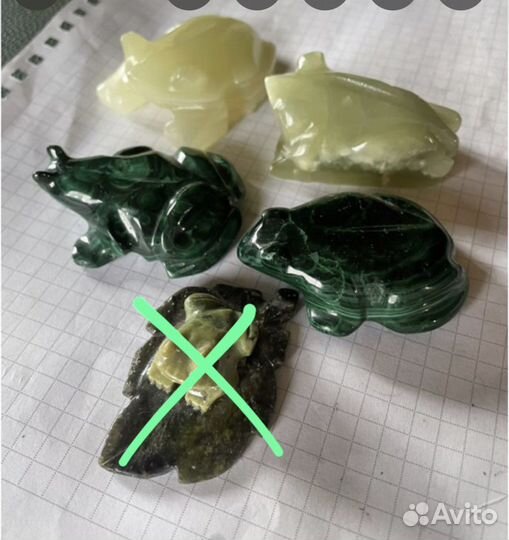 Лягушки разные