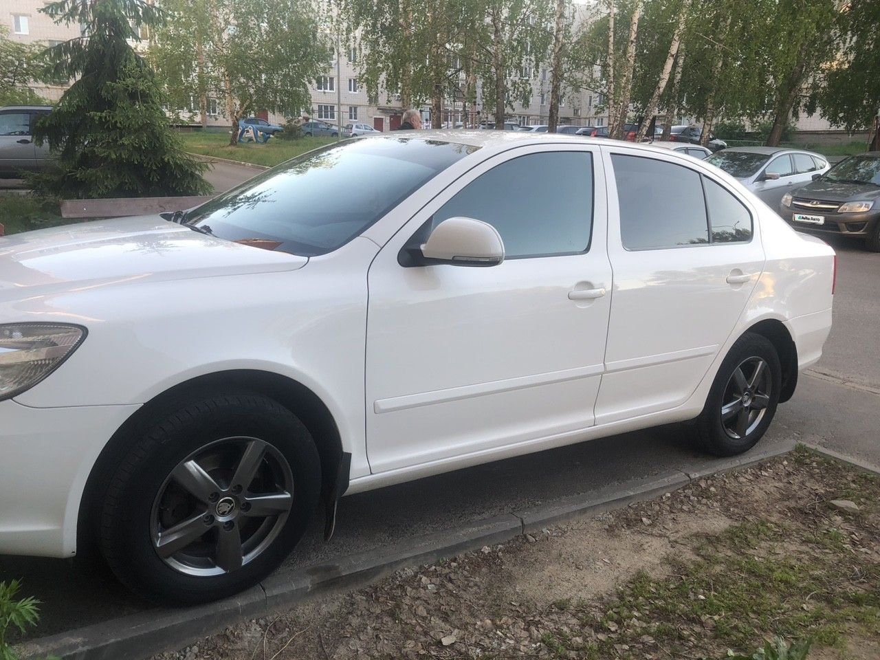Skoda Octavia: фото владельца