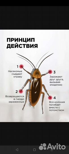 Средство от тараканов