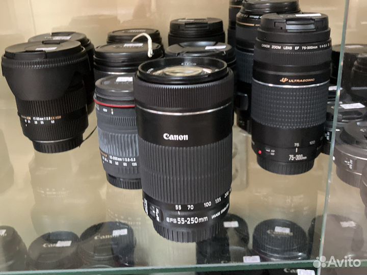 Canon EF-S 55-250mm f/4-5.6 IS STM