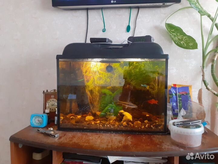 Аквариум с рыбками бу