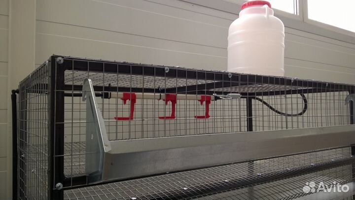 Клетка для перепелов на 160 голов в сборе