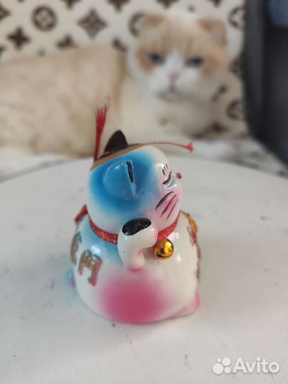 Сувенир кот