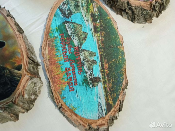 Фото на спилах береза