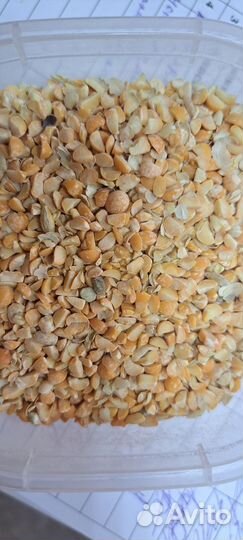 Горох колотый (сечка) некондиция на корм