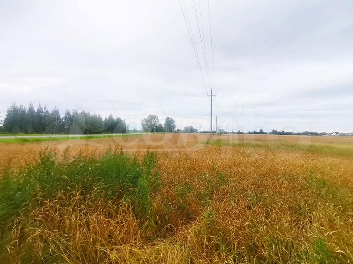 Участок 2 га (СНТ, ДНП)