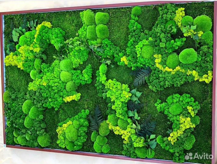 Мох стабилизированный фитокартина фитостена панно