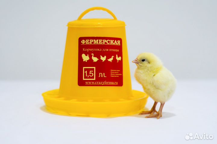Кормушка для цыплят