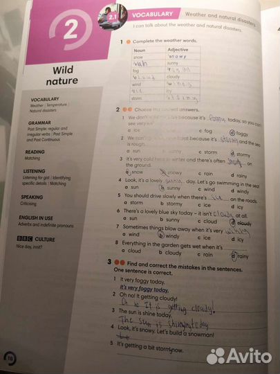Pearson Wider World 3 Students book, workbook