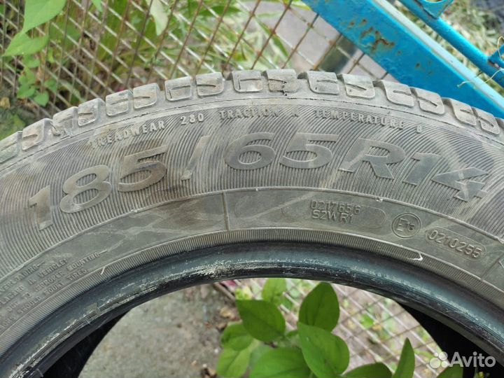 Sava Perfecta 185/65 R14