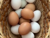 Яйца от своих курочек