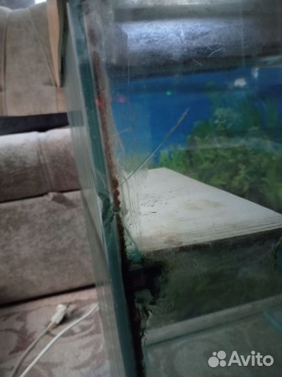 Аквариум
