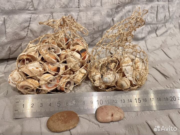 Ракушки морские и камушки