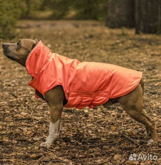Новая.Куртка-комбинезон для собак.Попона. Двухстор