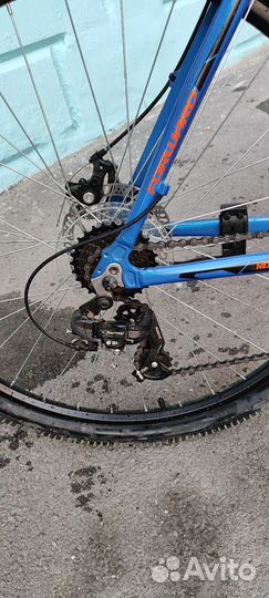 Forward next 29 2.0 disc (2019)