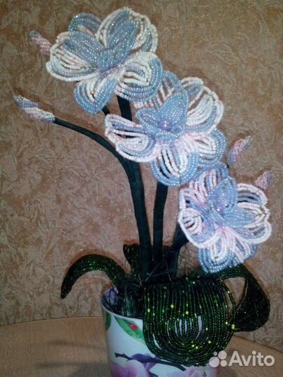 Береза орхидея - 600 мимоза - 800 новогодняя-1000