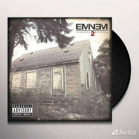 Eminem,Jay-z,Drake,Mobb deep,Notorious 2LP